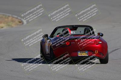 media/Nov-19-2023-Extreme Speed (Sun) [[bd0eec5490]]/Green/Back Shots/